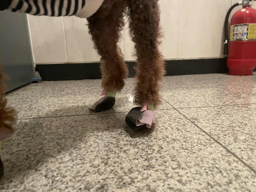치킨마루 중동점 사진 4