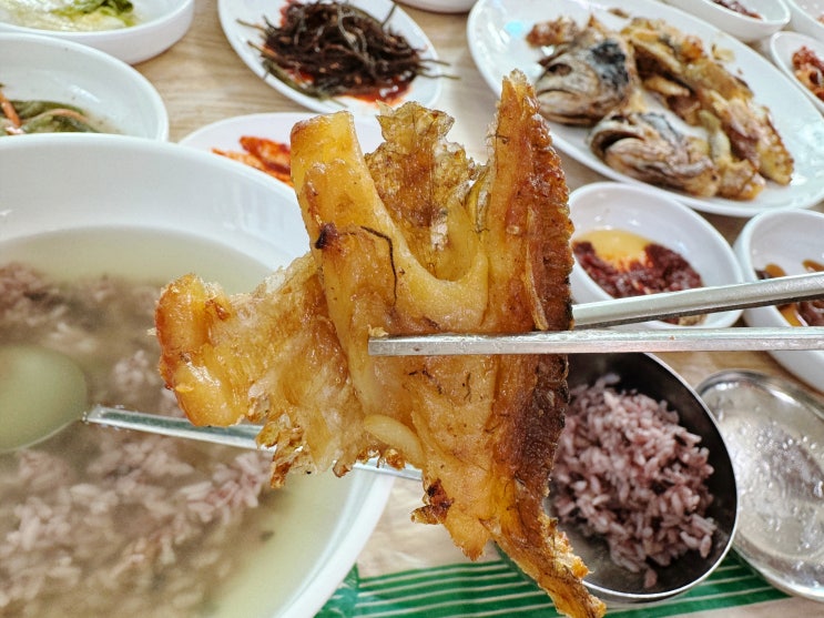  영광 설도항 구경하고 염산골손맛집 보리굴비 먹고 온 후기