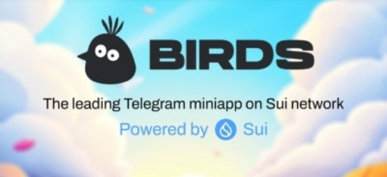  Sui는 나의 편. Bird 채굴하기