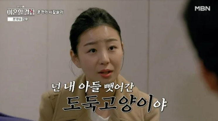 도둑고양이’ 폭언 들어... <b>정대세</b> 덕에 시댁과 절연" (<b>한이결</b>)