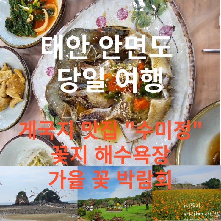  당일 여행 청주에서 태안 안면도 여행 1부 게국지 맛집 수미정 꽃지 해수욕장 가을꽃 박람회 관람