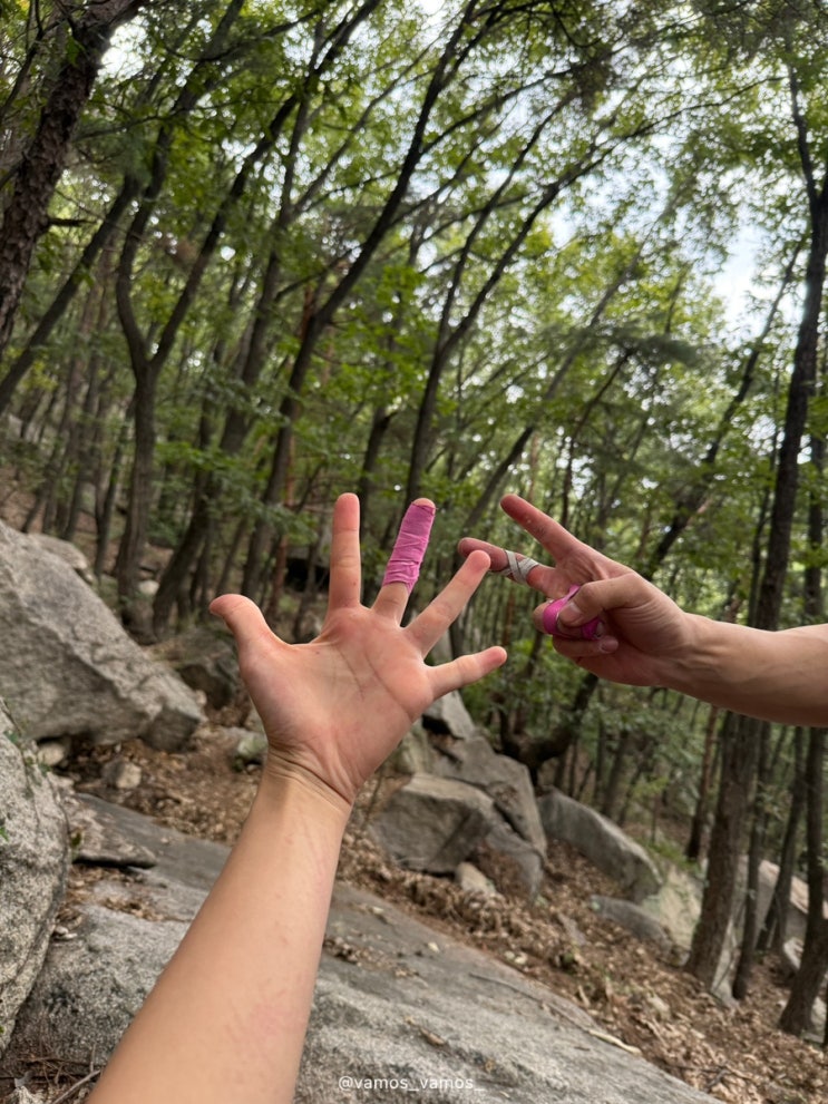  바쁘다 바빠 회사 밖 라이프 (다이노탱 팝업, 노량진수산시장, 소소라면, 을지로 장작집, 불암산 볼더링 어게인)