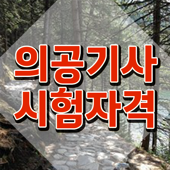  의공기사 의공기사 시험자격 학점은행제로 쉽고 빠르게 준비한 노하우