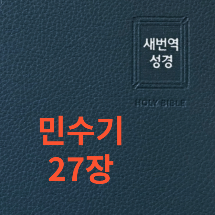 민수기 27장 민수기 27장
