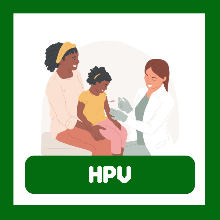  HPV 예방접종 종류 주기 가격 남자 필요성