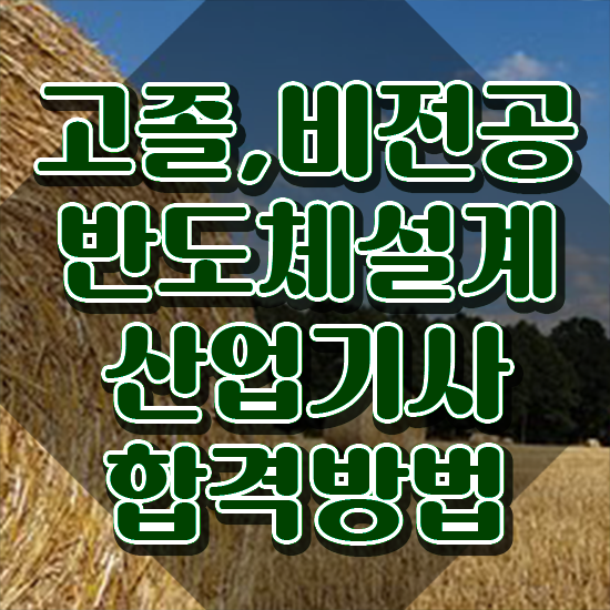  반도체설계산업기사 시험 조건 반도체설계산업기사 시험응시조건 집에서 온라인으로 단기간에 준비한 노하우