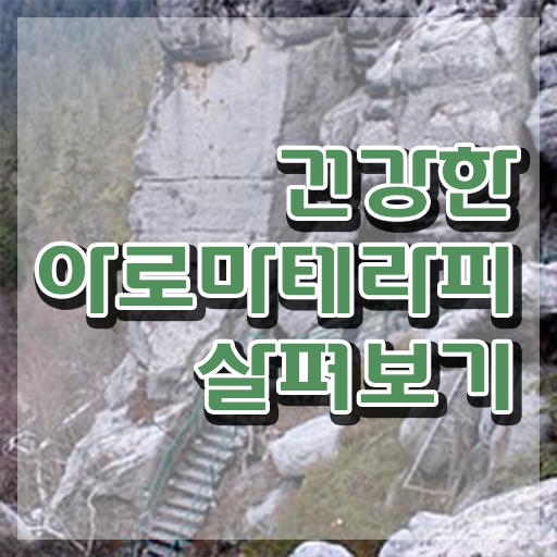  아로마뷰티diy지도사 자격조건 , 아로마뷰티DIY지도사 자격증 1달 만에 합격한 비법 확인