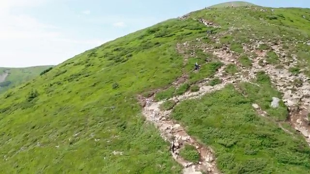  인천 병원동행매니저 , 병원동행 자격증 합격 전략 , 채용현황