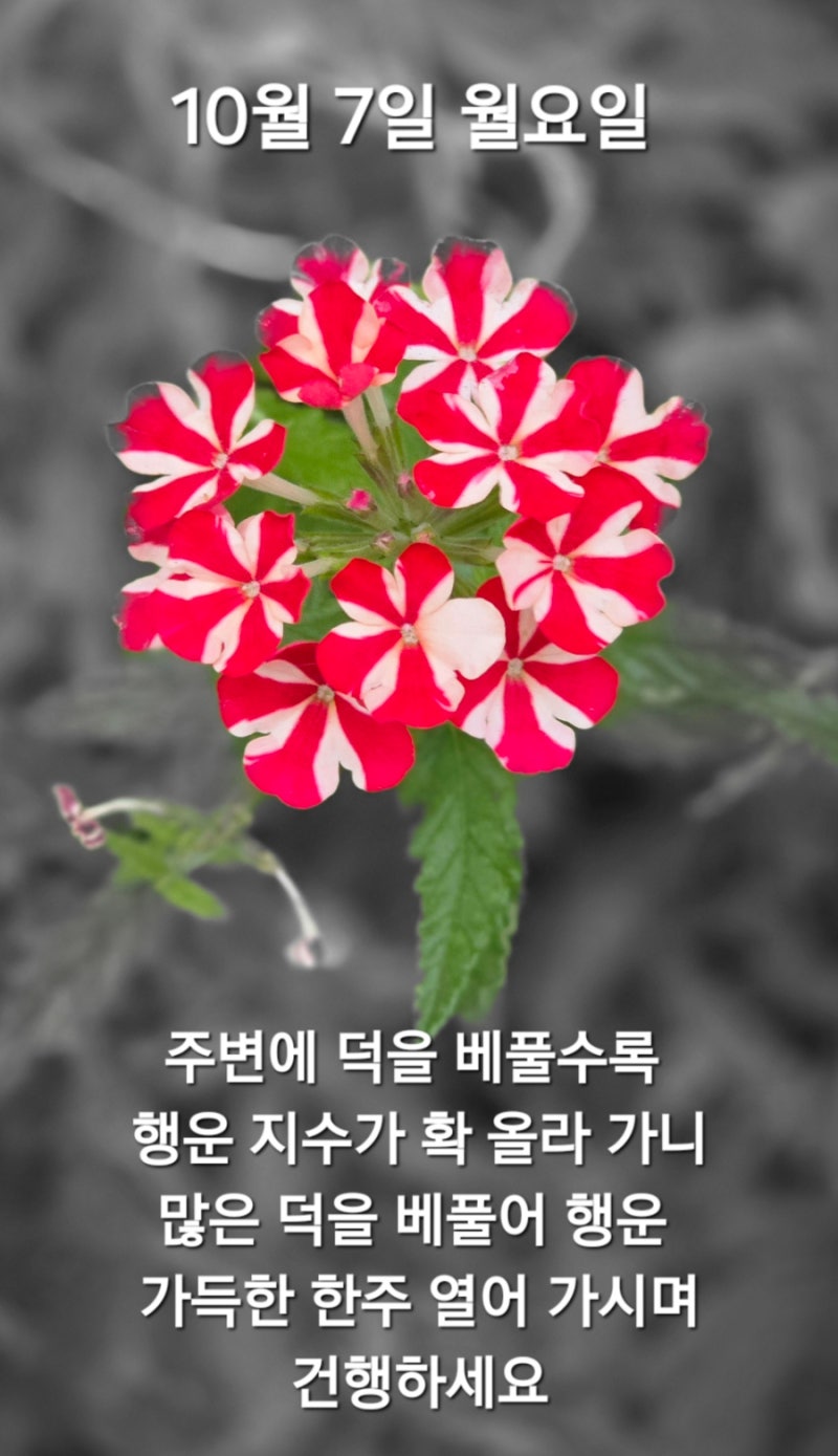 가을이 무르익어가고 있는 날에 보내는 아침 인사 (10월 1일~ 10월 13일) : 네이버 블로그