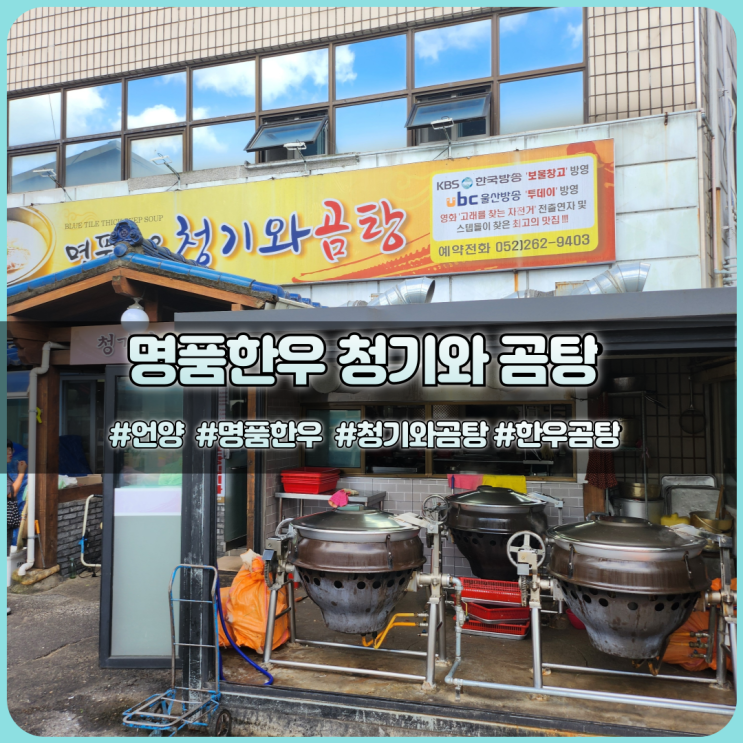  언양 명품한우 곰탕, 점심 한 끼 해결 완벽!