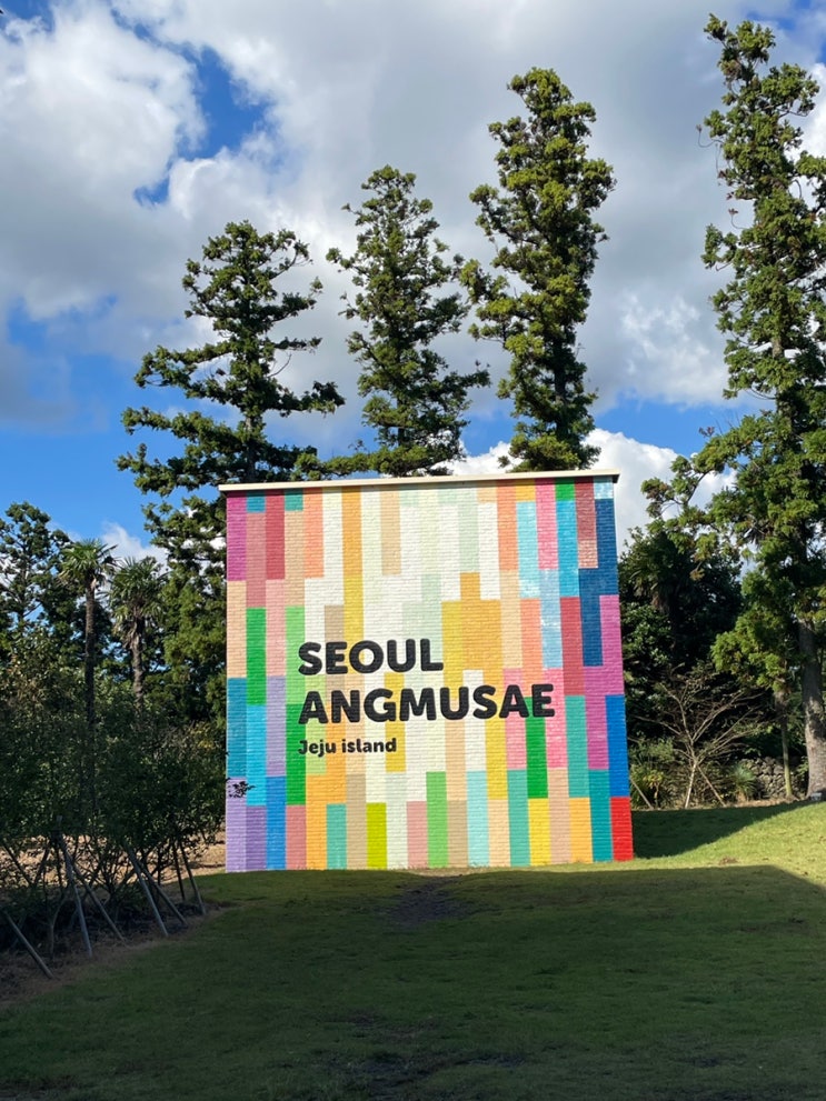  제주도 중문 카페 아기랑 가기 좋은 서울앵무새
