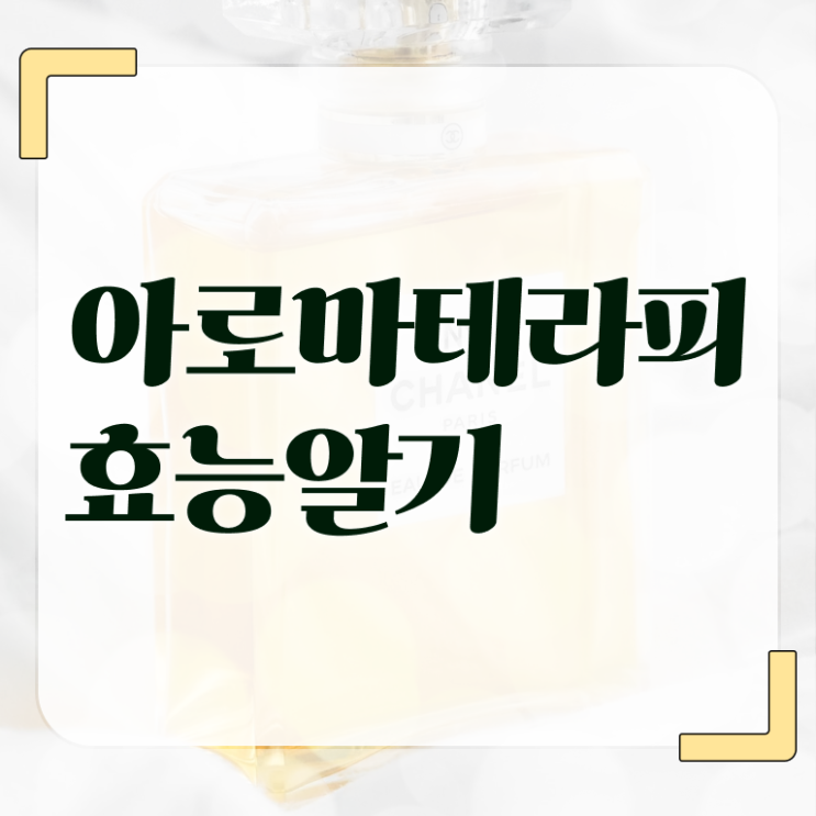 아로마뷰티diy지도사 수업 , 아로마뷰티DIY지도사 자격증 단기간에 취득한 방법 및 취업 전망