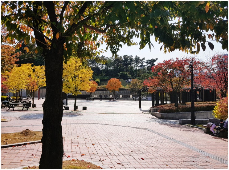  용인 단풍 구경 가볼만한 곳, 신갈역 인근에 위치한 만골근린공원