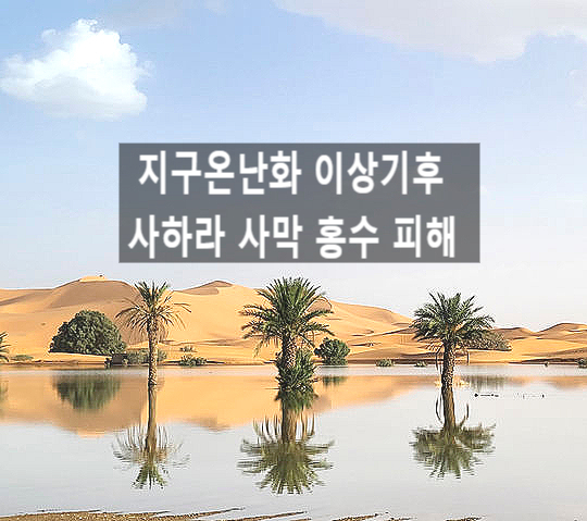  지구온난화 이상기후 기상이변 사하라 사막 홍수 한주간 날씨 전망 전국 비 기온 하강