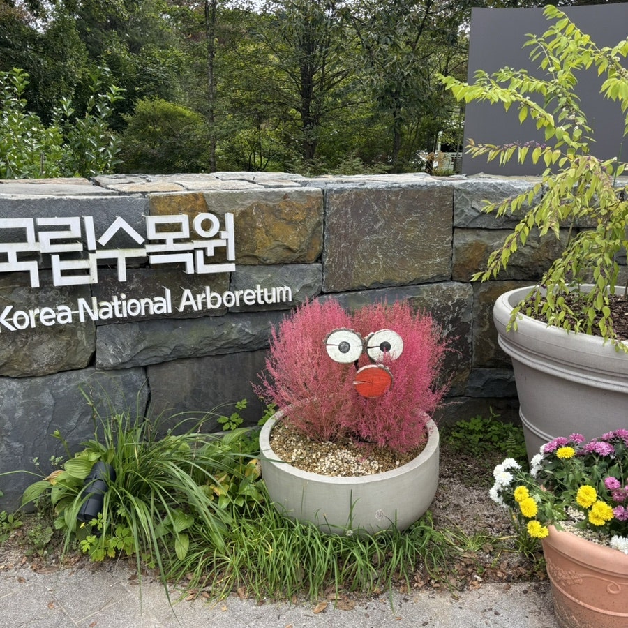 몽카페 사진 1