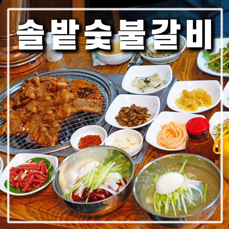  의정부 가능동 맛집 솔밭숯불갈비 육회 양념게장 나오는 고기집