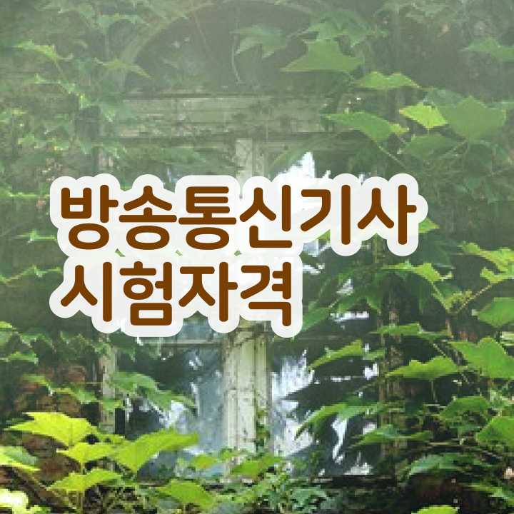 방송통신기사 방송통신기사 자격요건 온라인으로 편하게 끝낸 비법