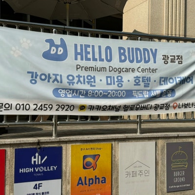 사진 7