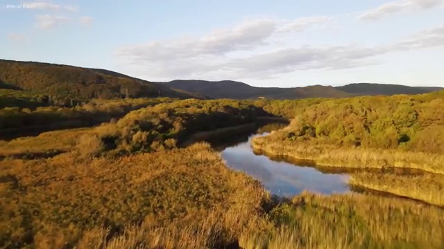  부동산매매수수료계산기 , 부동산자산관리전문가 부동산자산관리사자격증 인강만 듣고 취득했던 후기 정리했어요