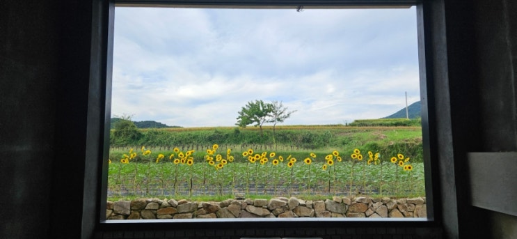  경주 카페 로드100; 해바라기 액자; 대형 카페; 커피