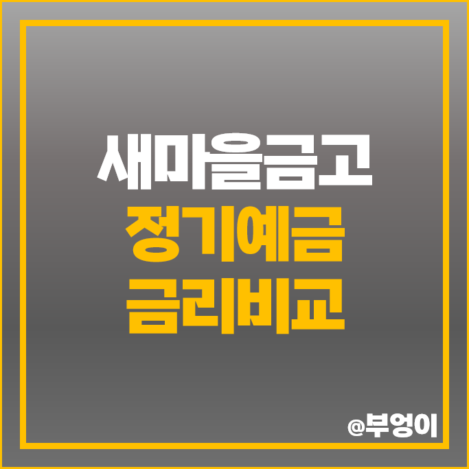 새마을금고 정기예금 금리 비교 이자 높은 예금 특판 추천 새마을금고 정기예금 금리 비교 이자 높은 예금 특판 추천