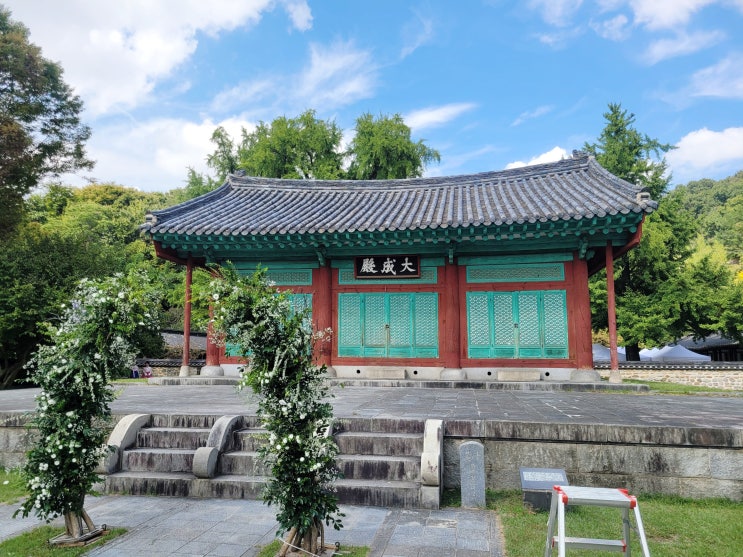  전주향교 대성전 결혼식 은행나무