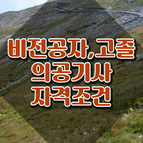  의공기사 합격률 의공기사 취득자격 인강만 듣고 간단하게 완료한 팁