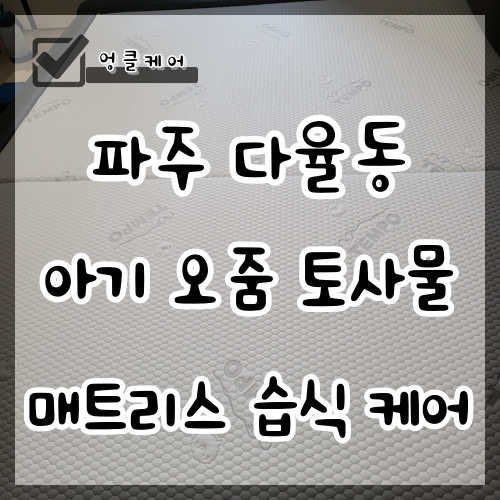  매트리스 오줌 얼룩 제거 파주 패밀리 매트리스 케어