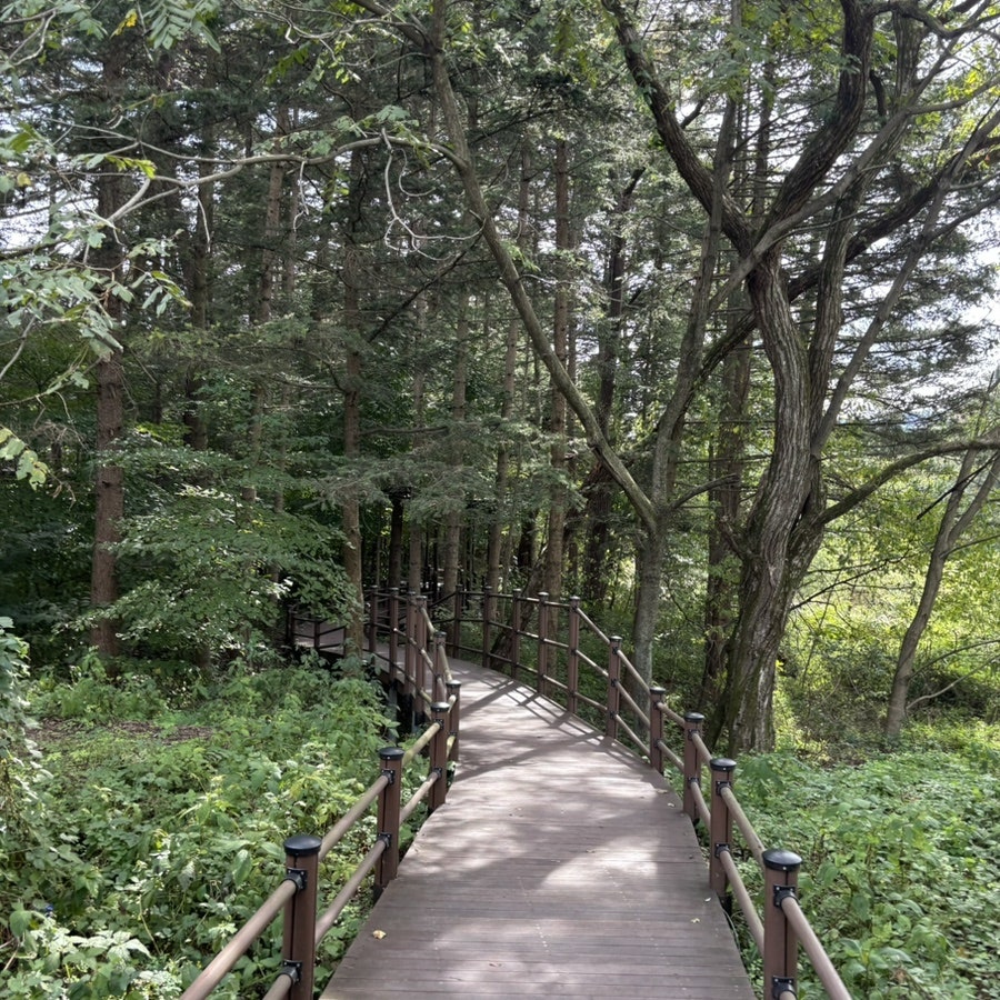 몽카페 사진 5
