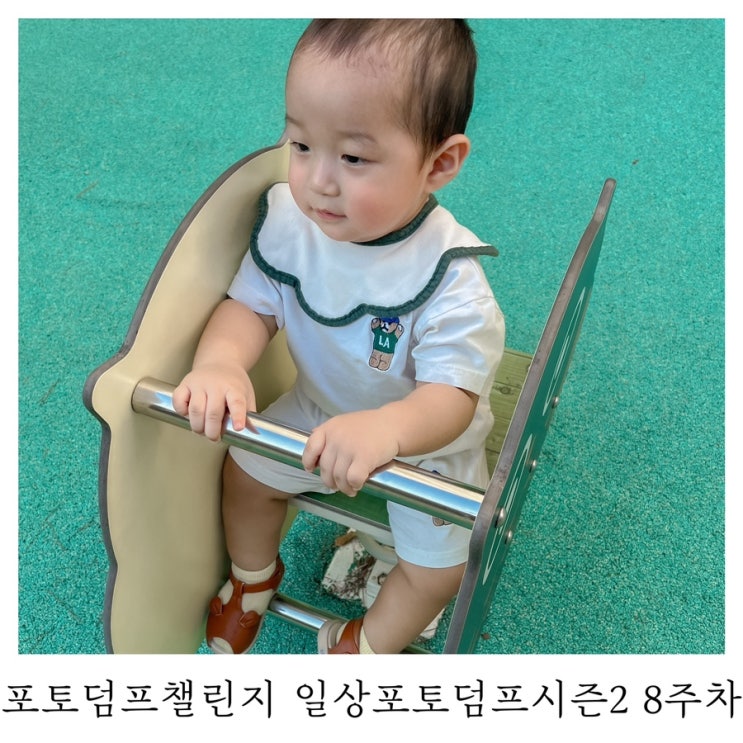  [블챌]포토덤프챌린지 일상포토덤프 시즌2 8주차