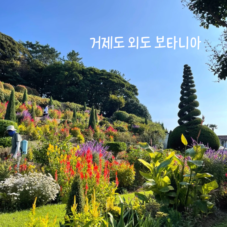  거제도 외도 가는법 구조라 유람선 & 거제 점심 맛집 초정명가