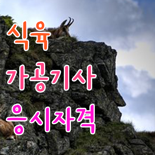  식육가공기사 필기 시험 요건 식육가공기사 응시자격 온라인 과정으로 단기간에 끝낸 전략