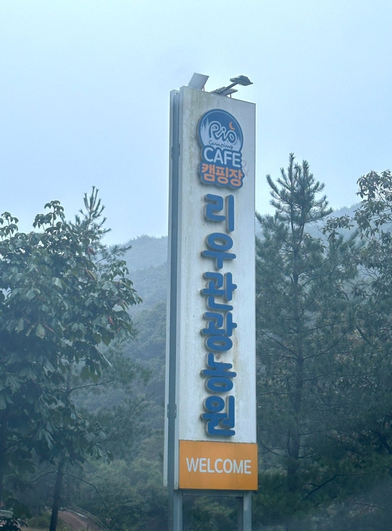 사진 6