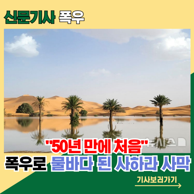  [폭우] "50년 만에 처음" 기상청도 놀랐다…폭우로 물바다된 사하라 사막