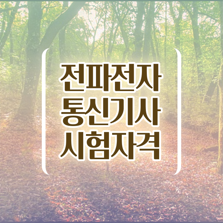  전파전자통신기사 일정 전파전자통신기사 시험응시조건 온라인으로 간단하게 성공한 전략
