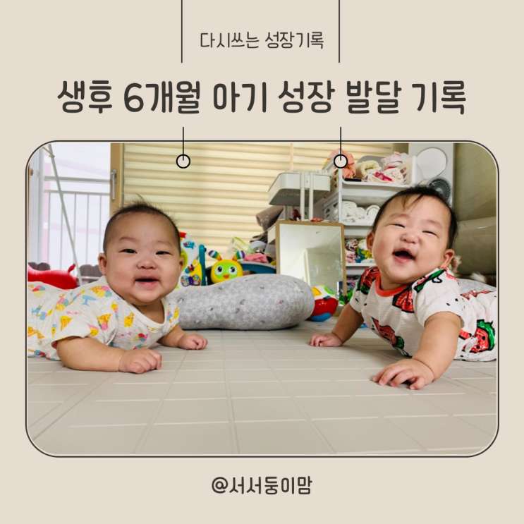  생후 6개월 성장 발달 기록 쌍둥이 몸무게 이유식 배밀이 장난감