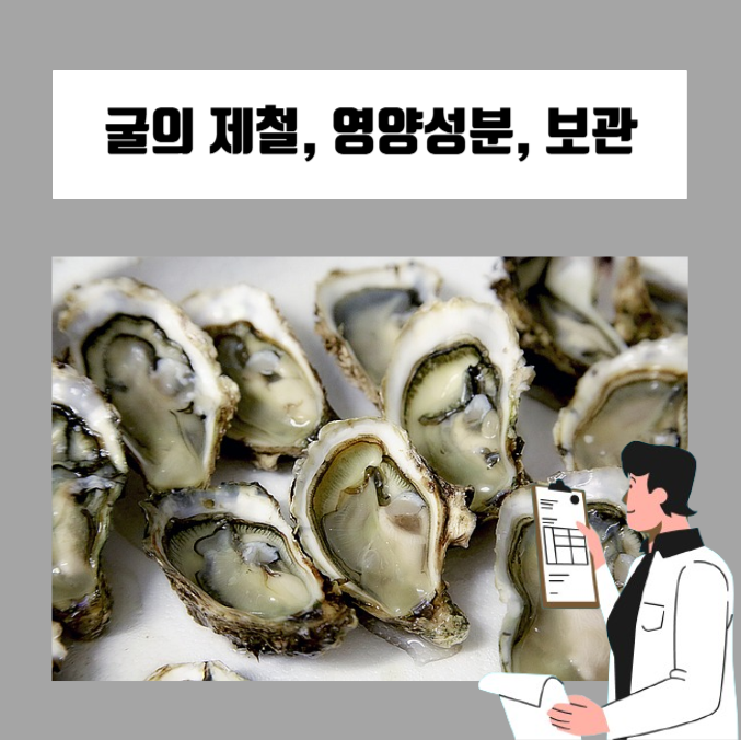  제철 굴의 영양성분과 효능 및 보관방법은 무엇일까?