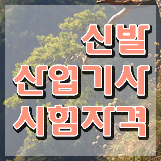  신발산업기사 시험접수 신발산업기사 시험자격 집에서 온라인으로 단기간에 성공한 방법