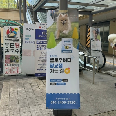 사진 8