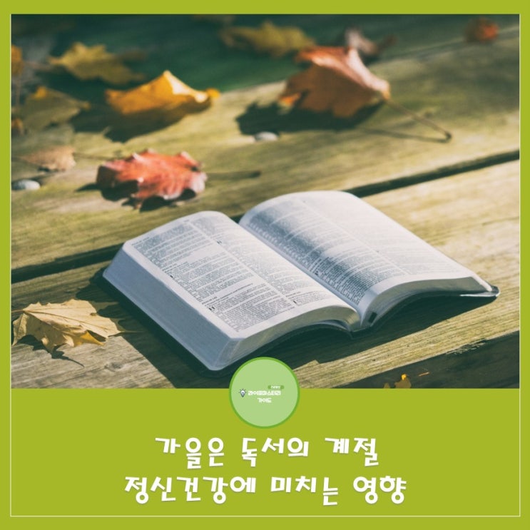  가을은 독서의 계절입니다.한강 작가의 노벨문학상 수상과 독서 열풍,책을 읽음으로서 얻을수 있는 건강상 이점