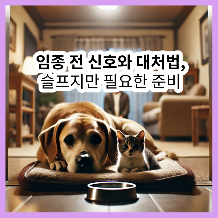  강아지 임종 • 고양이 임종, 마지막 순간을 함께 준비하는 법
