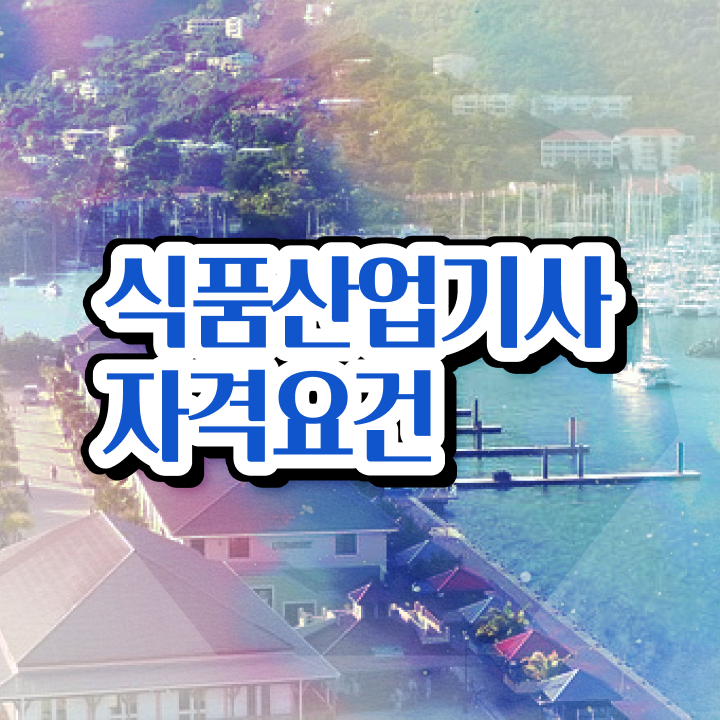  식품산업기사 응시자격 식품산업기사 자격요건 인강으로 쉽고 빠르게 끝낸 팁