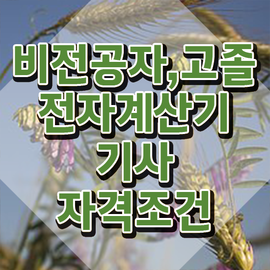  전자계산기기사합격률 전자계산기기사 응시자격 인강만 듣고 간편하게 성공한 노하우