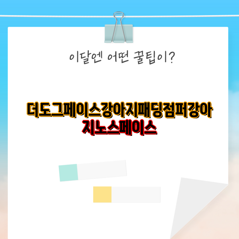 더도그페이스 강아지 패딩 점퍼 강아지노스페이스 신상품 비교 및 장단점 분석