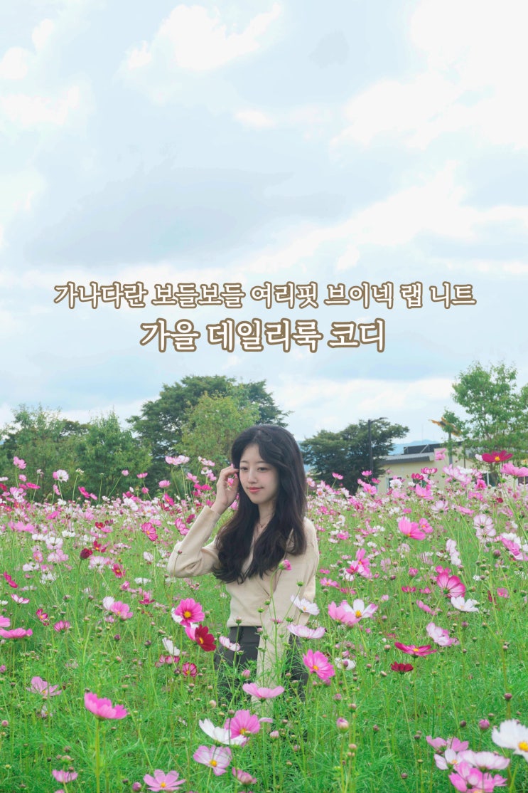  가나다란 보들보들 여리핏 브이넥 랩 니트 가을 데일리룩 코디 오피스룩쇼핑몰추천