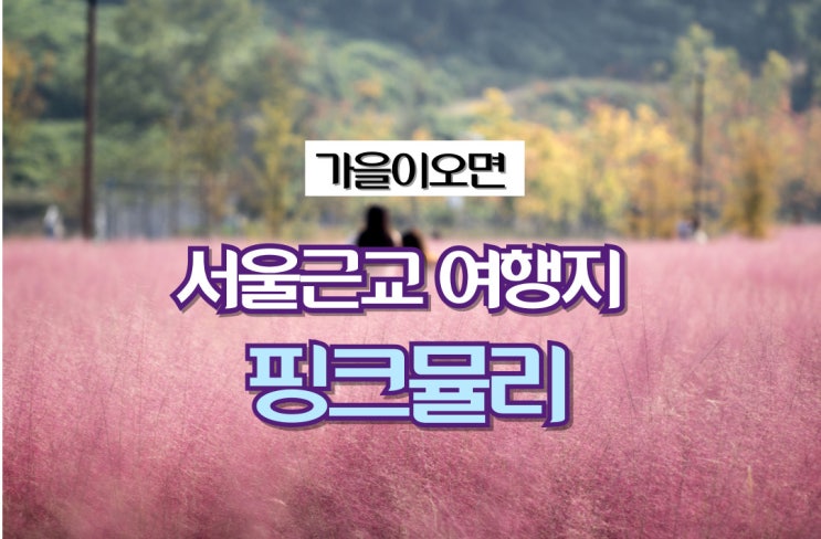  서울 근교 가을 여행 _핑크뮬리