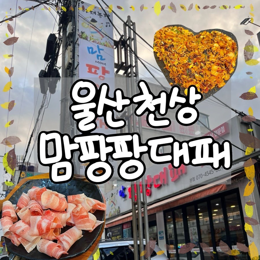 팡팡대패 사진 1