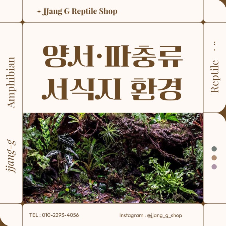  양서파충류 서식지 환경에 대해 알아볼까요