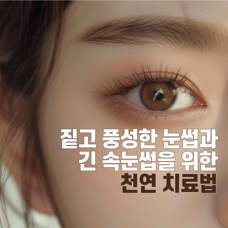  짙고 풍성한 눈썹과 긴 속눈썹을 위한 천연 치료법 – 피마자유, 호로파 씨앗, 시어버터로 간단하게!