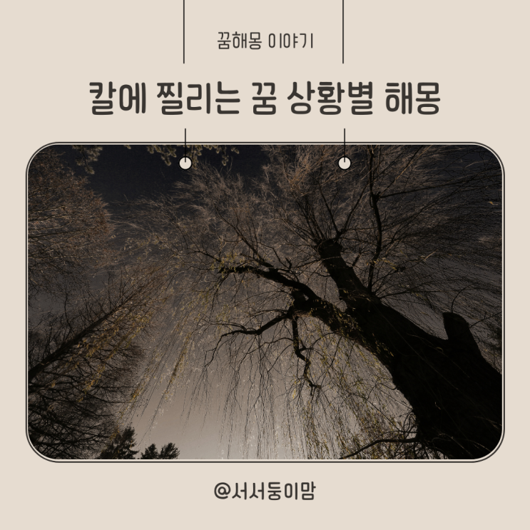  칼에 찔리는꿈 상황별 해몽 다른사람이 칼에 찔리는 꿈 내가 가족이 친구가 칼에 찔리는꿈